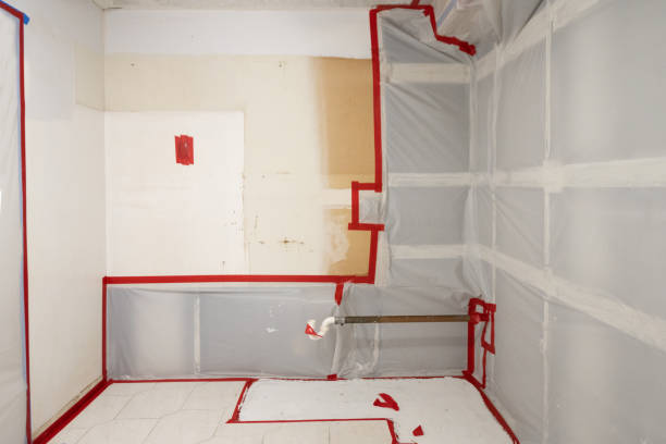 Best Water Damage & Mold Remediation  in Great Notch, NJ