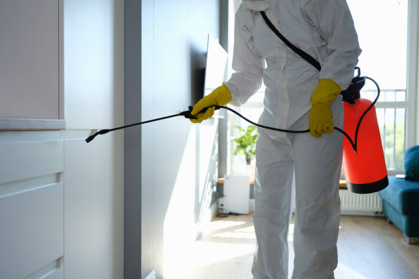 Best Airborne Mold Testing  in Great Notch, NJ