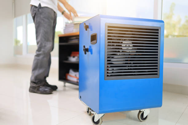 Mold Documentation for Insurance Claims in Great Notch, NJ