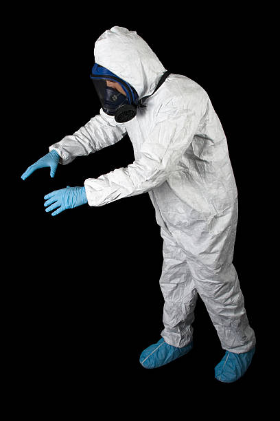 Best Mold Damage Restoration  in Great Notch, NJ