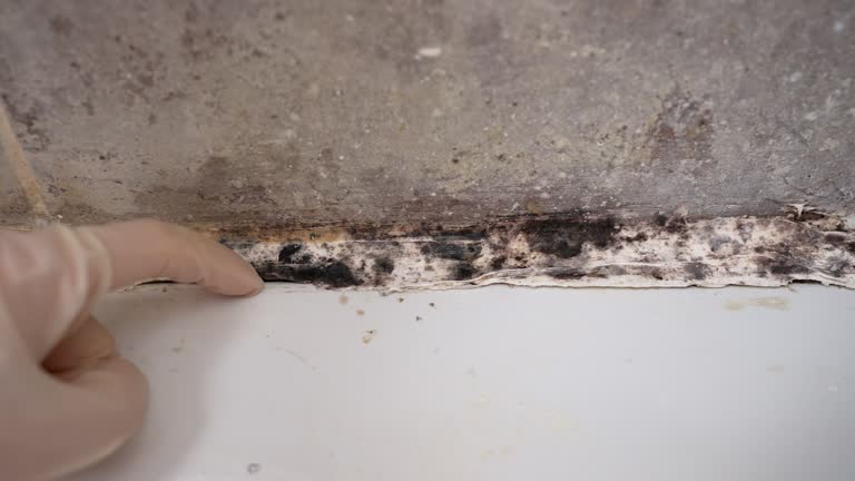 Asbestos and Lead Testing During Mold Inspection in Great Notch, NJ